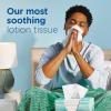 imagePuffs Plus Lotion Facial Tissues 8 Family Boxes 124 Facial Tissues per Box Allergies and Colds124 Count Pack of 4