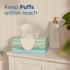 imagePuffs Plus Lotion Facial Tissues 8 Family Boxes 124 Facial Tissues per Box Allergies and Colds124 Count Pack of 4