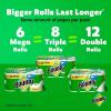 imageBounty SelectASize Paper Towels White 2 Mega Rolls  8 Regular RollsWhite